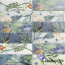 Tapis Eden